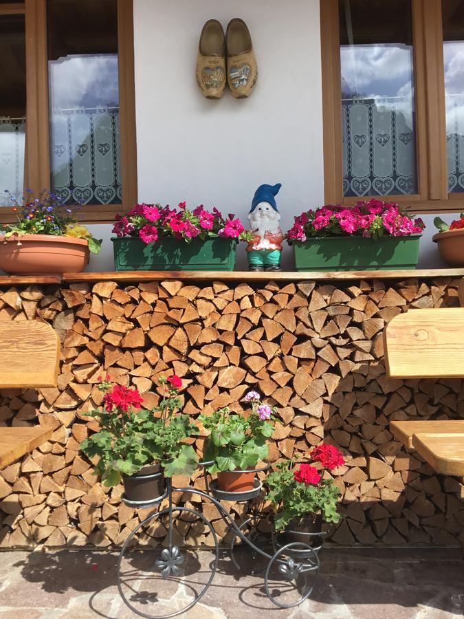 B&B Solder Chalet Dolomiti Sappada Exterior photo